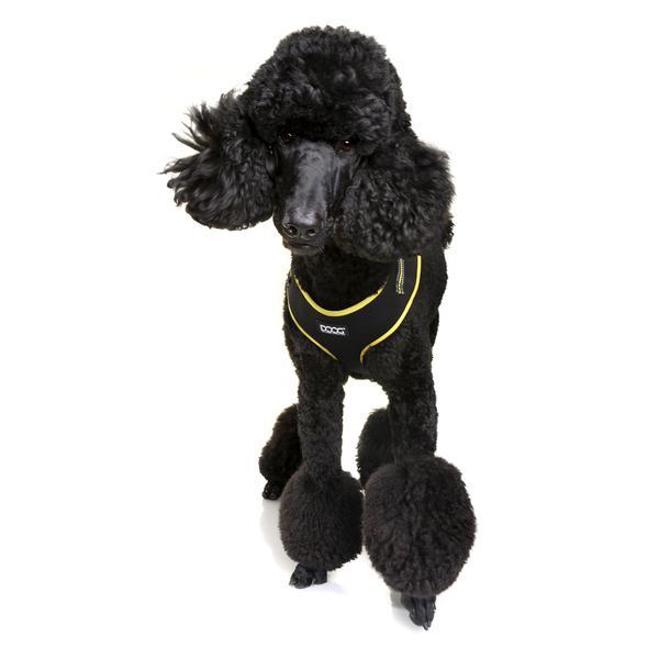 DOOG Neoflex Harness BOLT Gr. XS